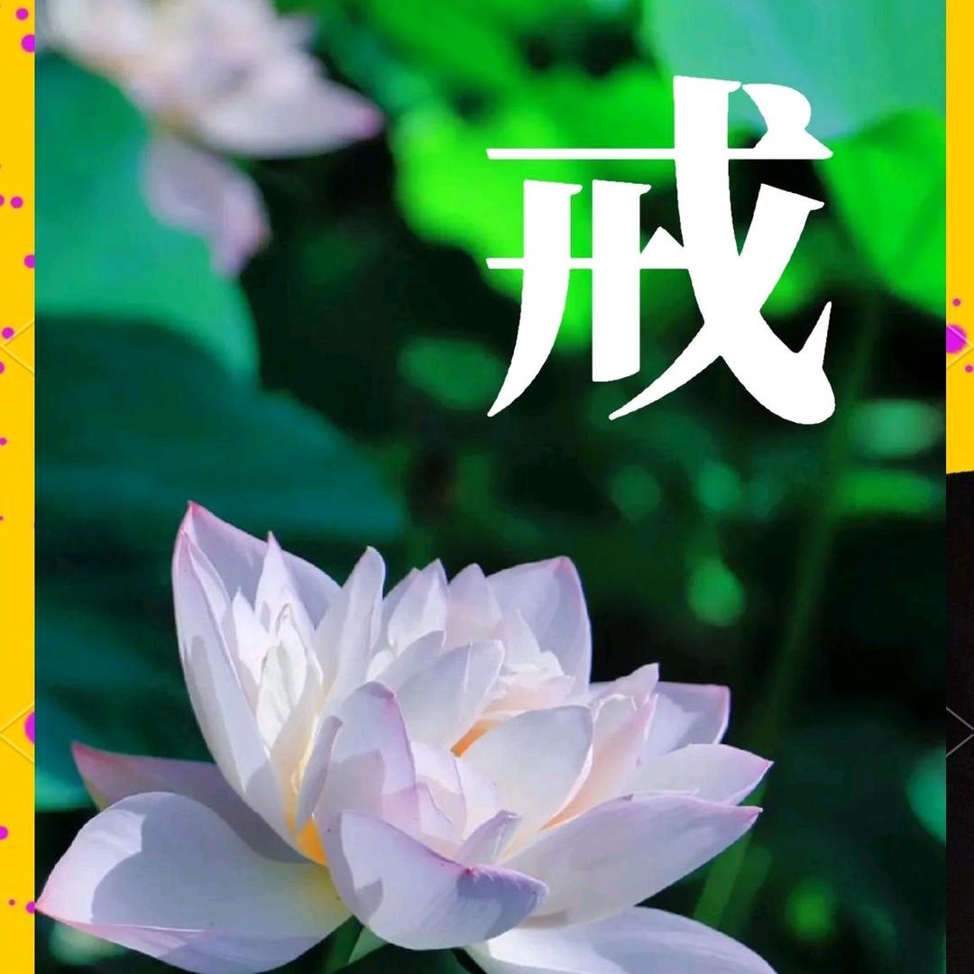 无为✔