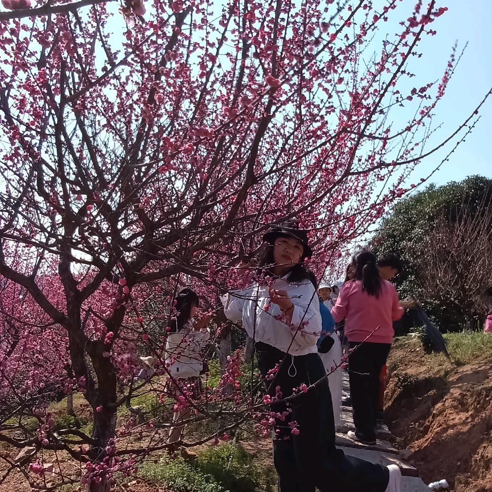 怎么开心怎么过