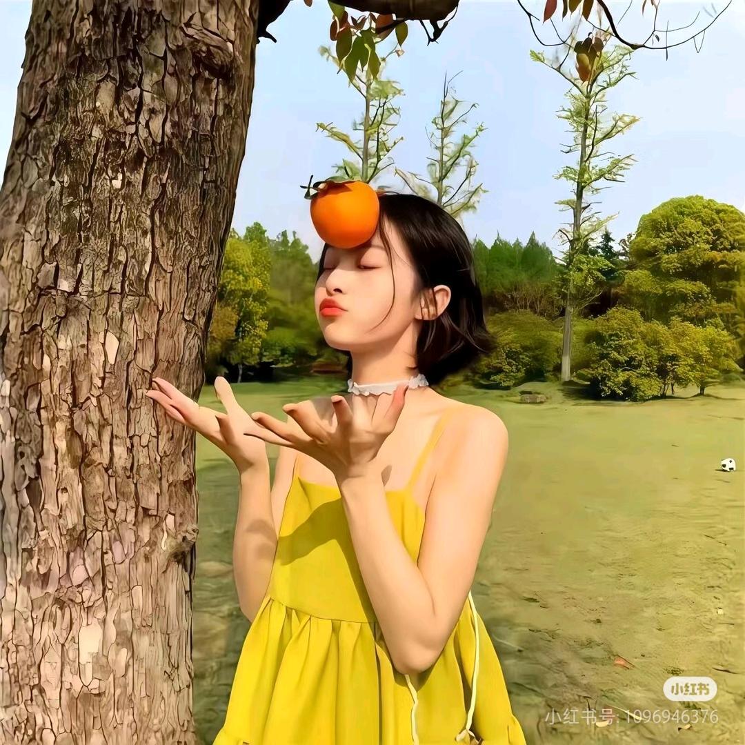 鼎成公考刘老师