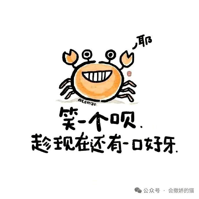 带投大哥