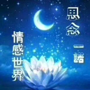 思念一诺