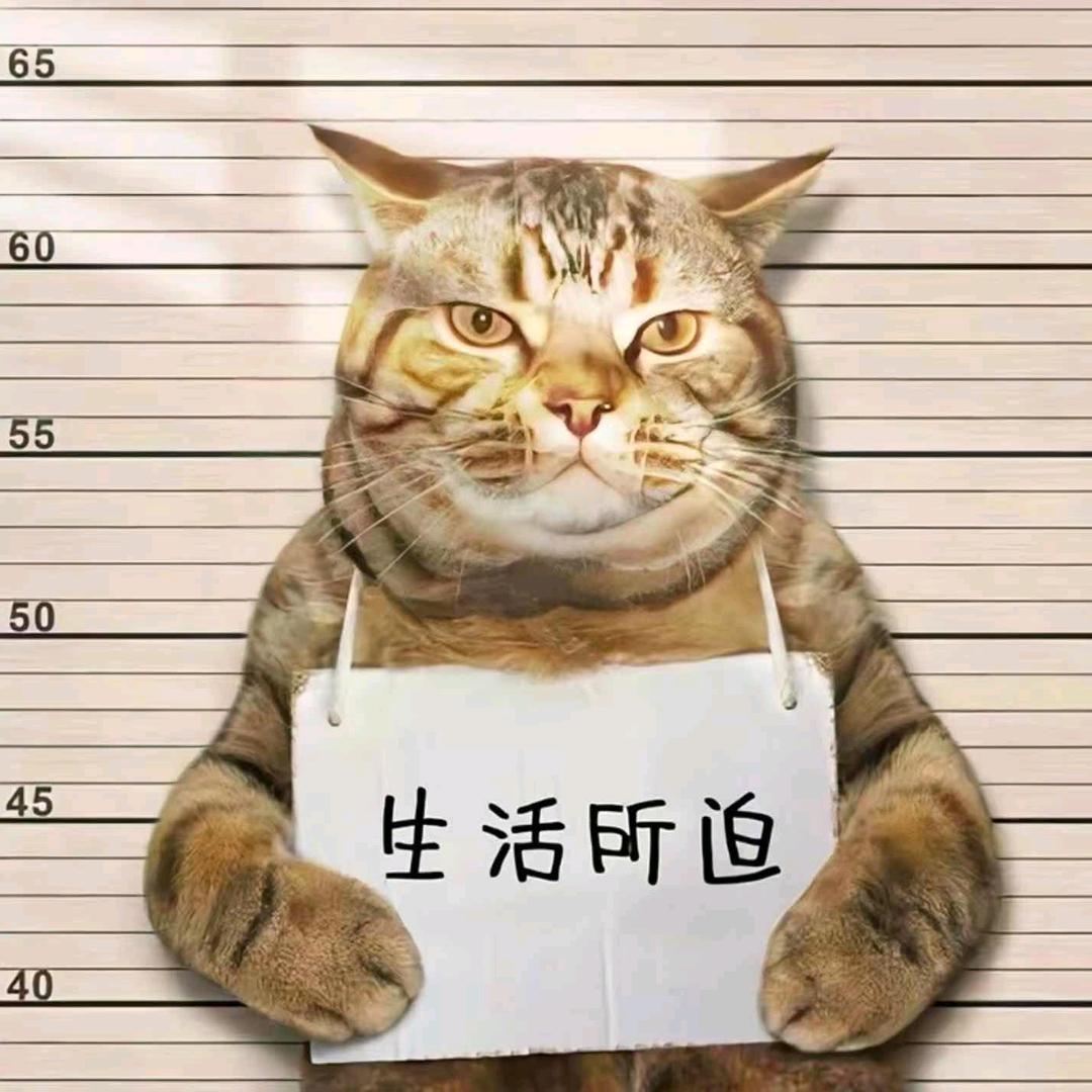 何以解忧 唯有爆扣