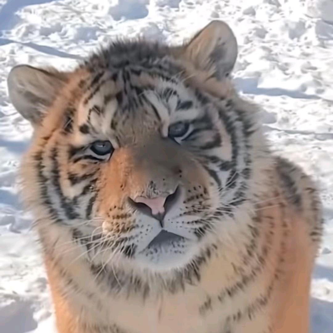 打烂坏人那张坏脸