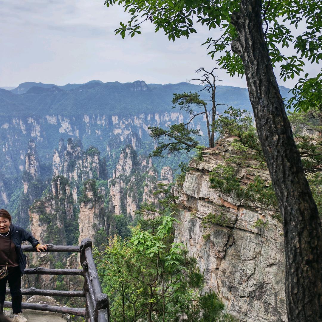 诚信志远果业阳谷赵王河路