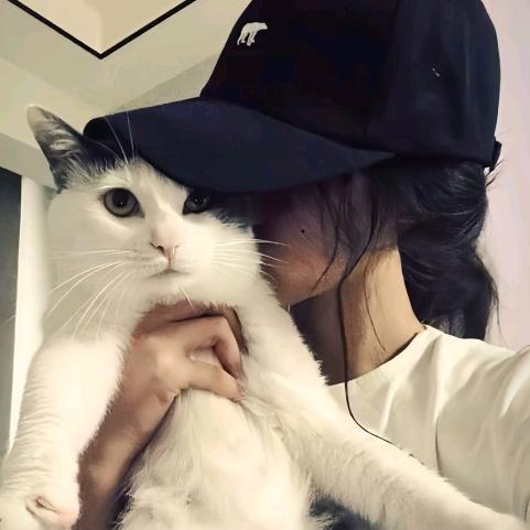 别让情两难