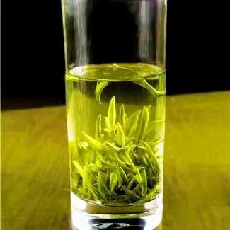 高山野生茶