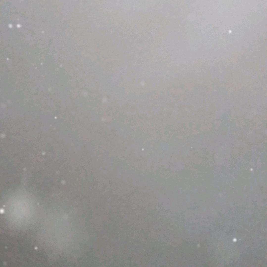 ( ｡• 👅 •｡｀)