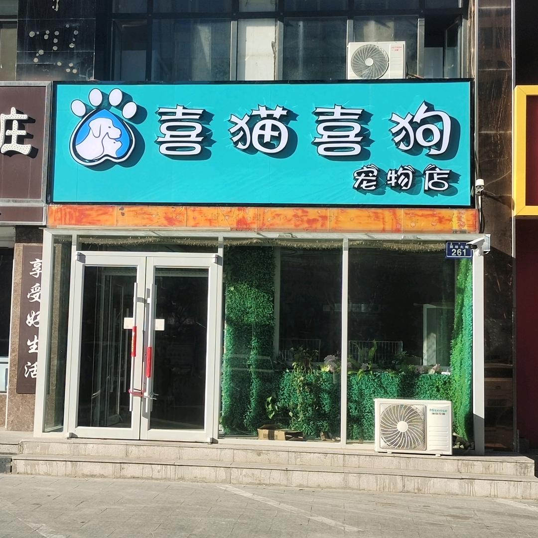 喜猫喜狗y