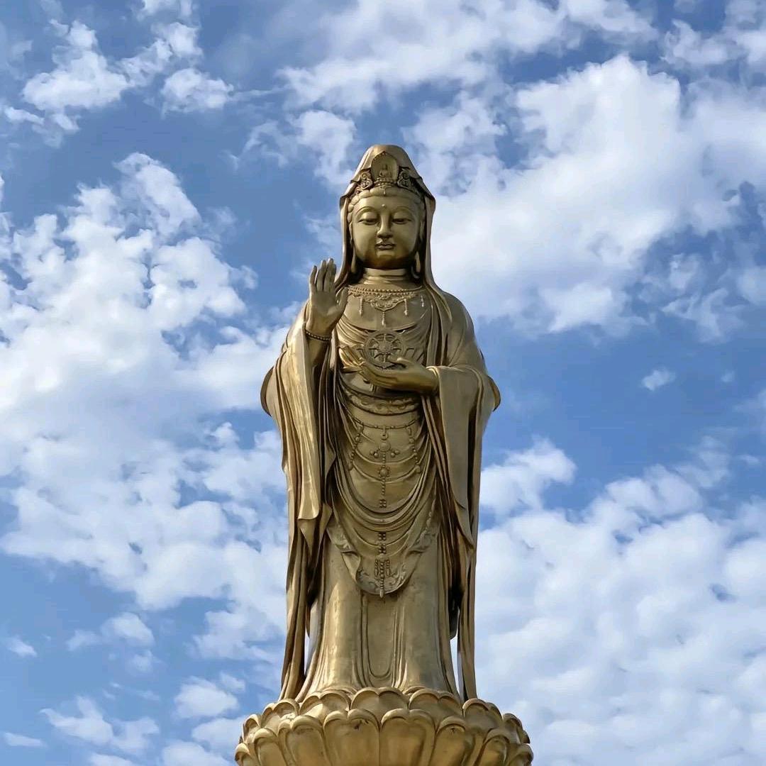 飞雪迎春