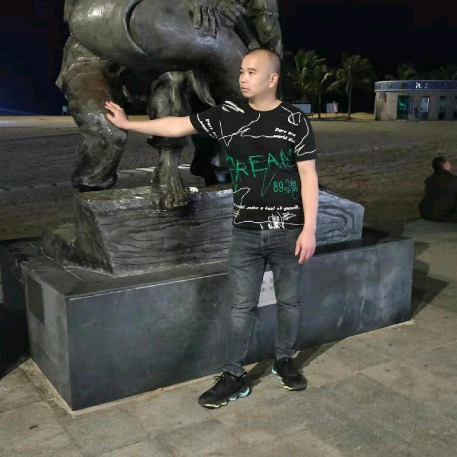 进哥