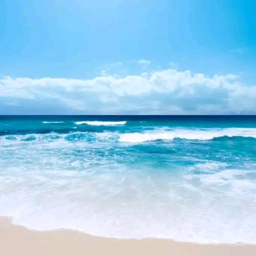 安徽聚汇网络科技有限公司