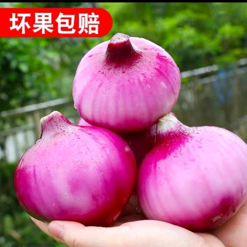 晟景鲜果汇