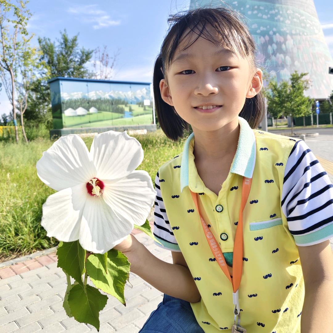 朵朵同学