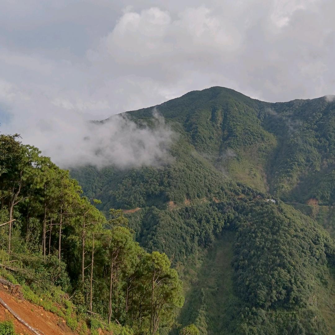 铙❤❤❤❤❤❤艳