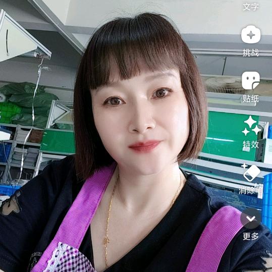 启菊