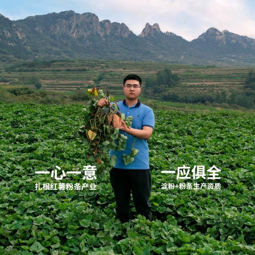 爱拼才会赢