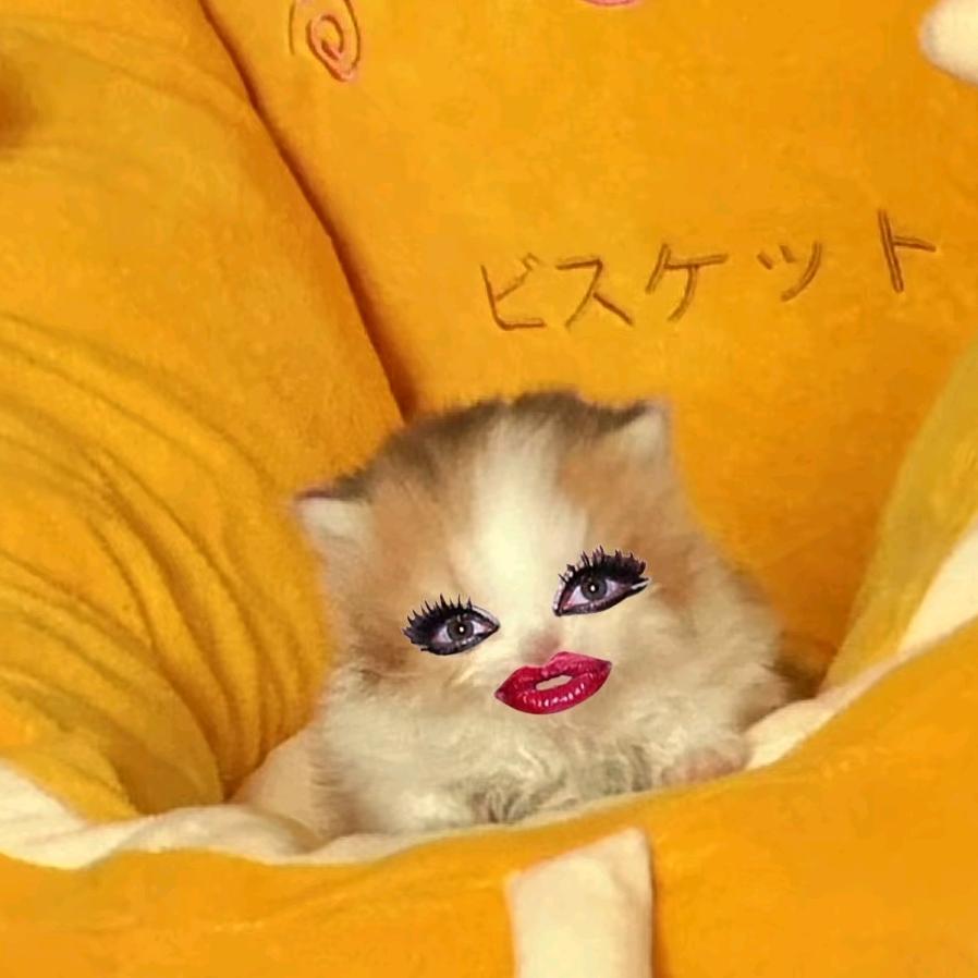 鼻嘎拌香菜馋哭老太太