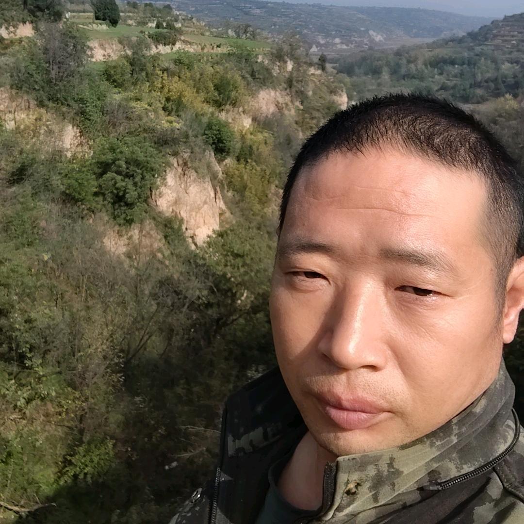 吉吉溜溜汪汪队（老哑）