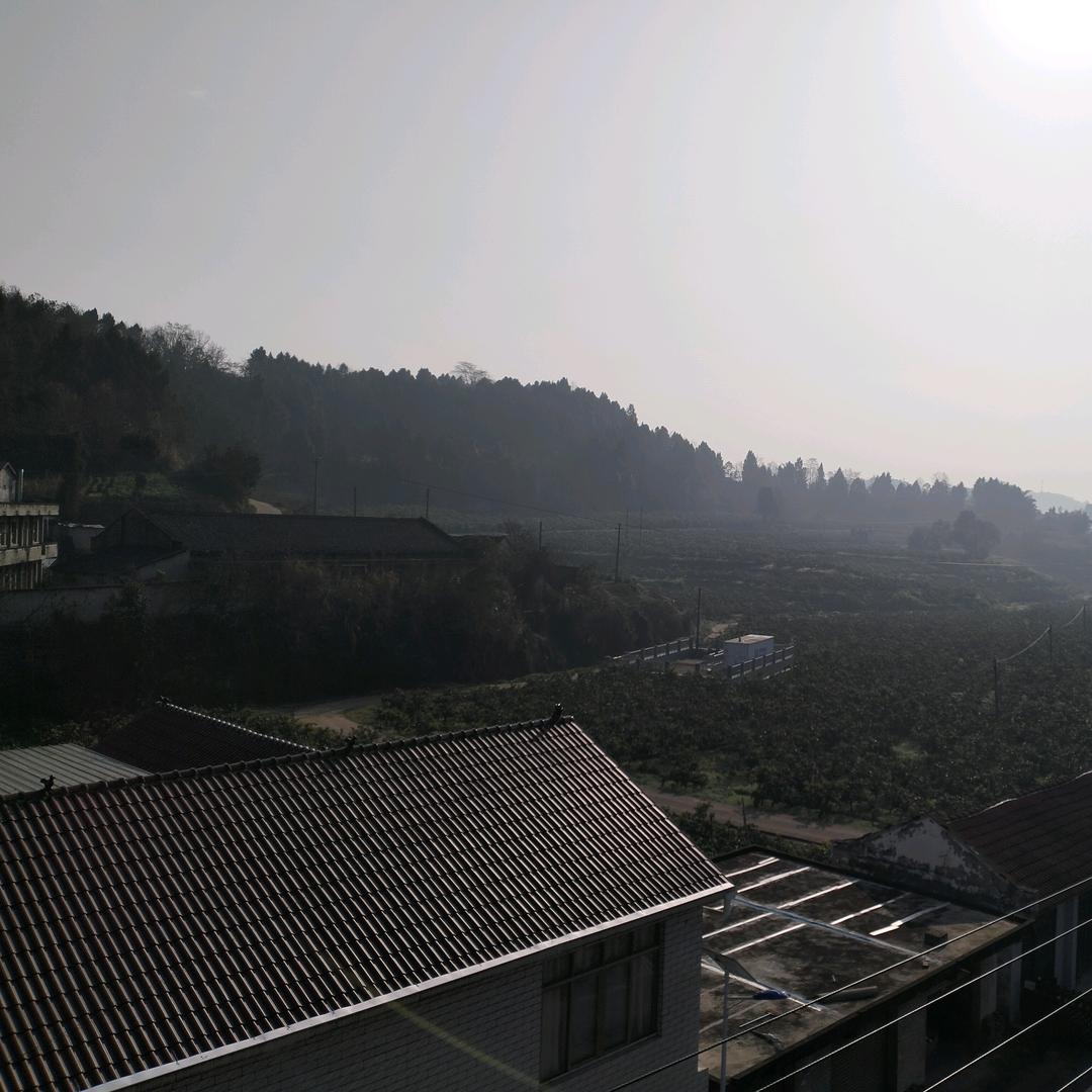 方方