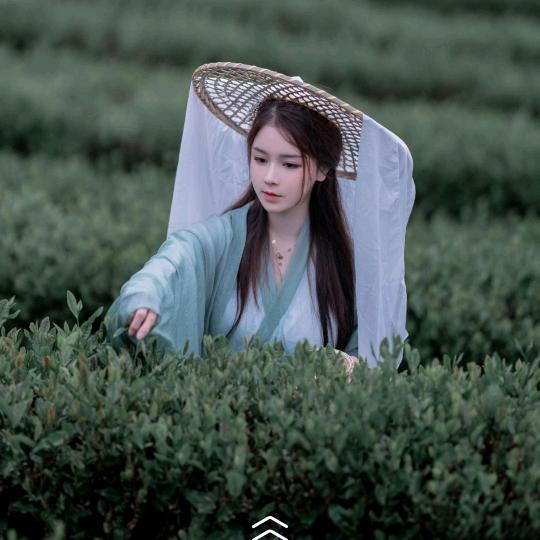 大会
