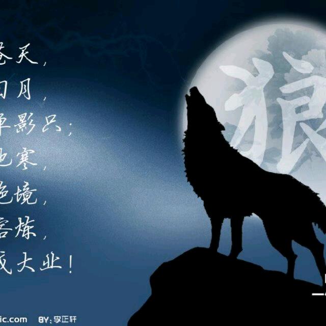 西北狼