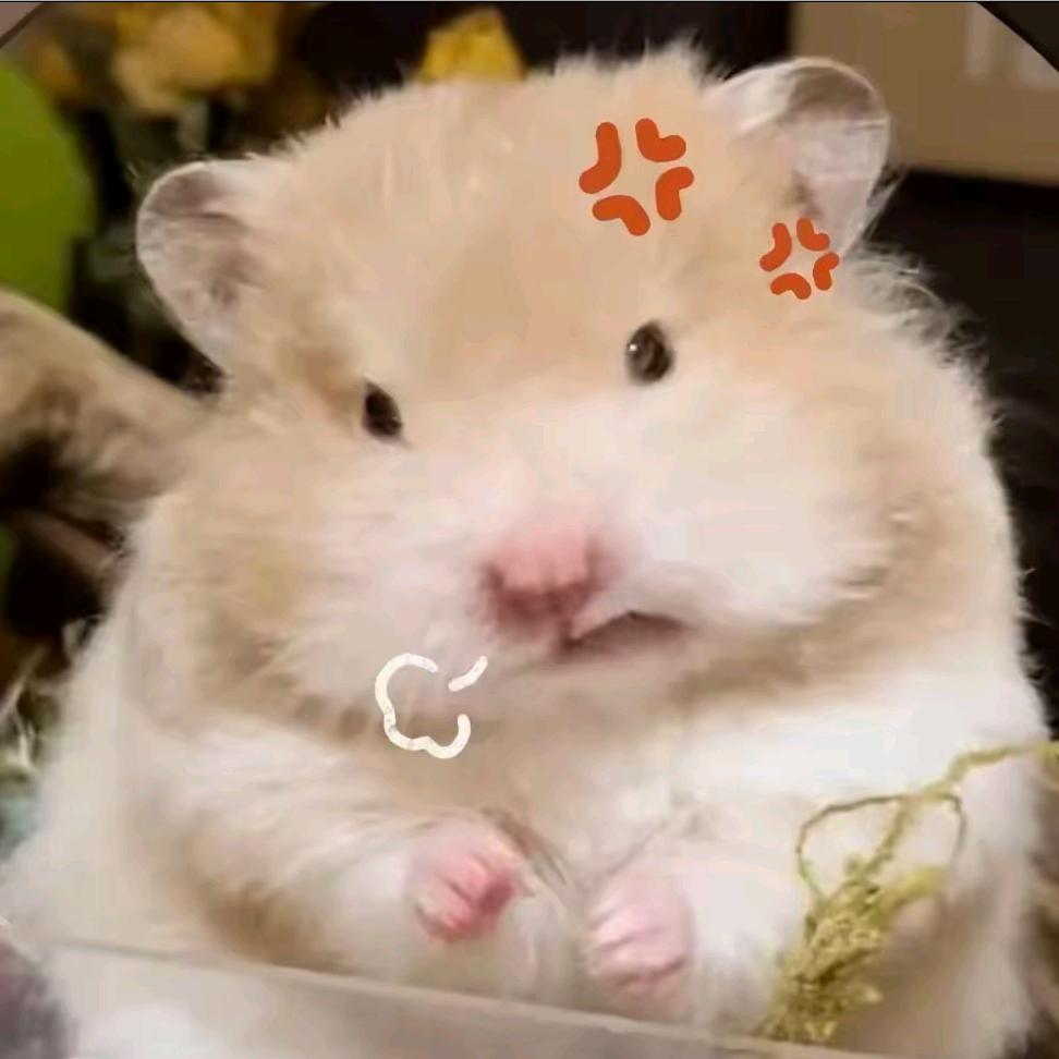 芋泥啵啵普洱茶