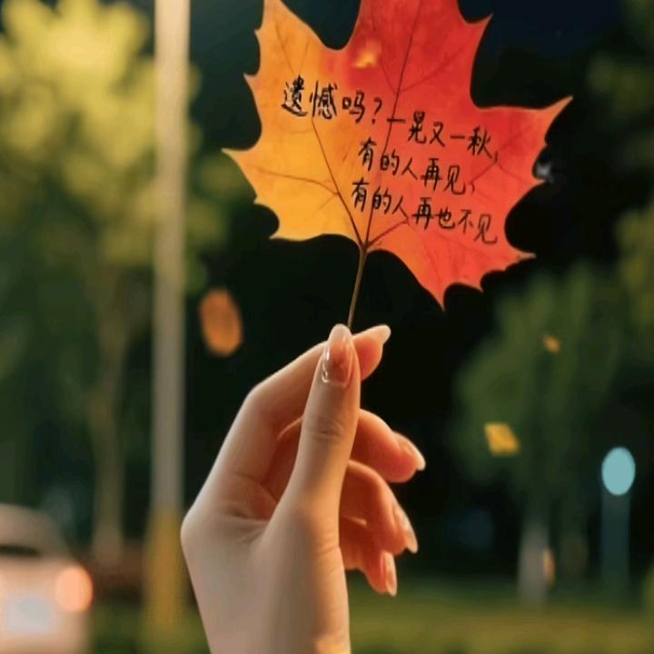 鑫知乐