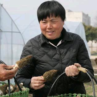 刘玲种植园