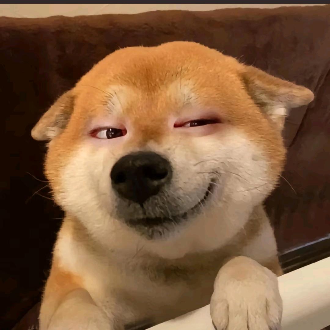 夜-.-猫→_→紫か头像