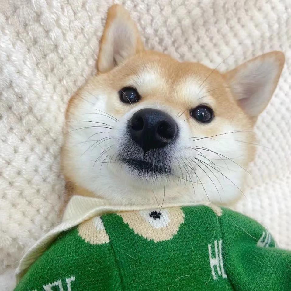 春塘服饰甄选