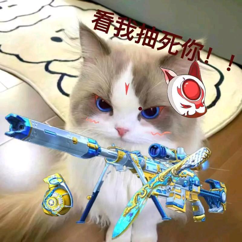 CF  小超哥