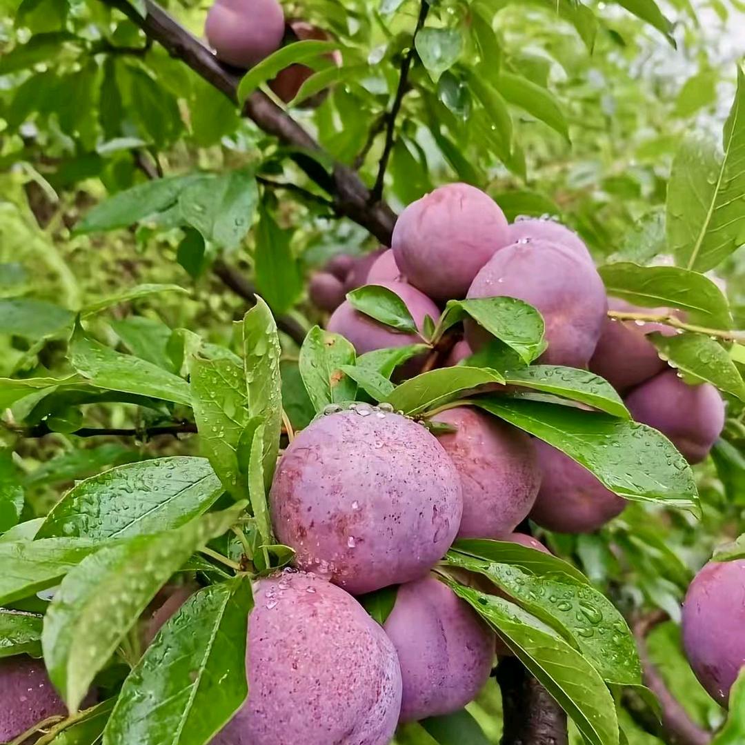 어서 오세요