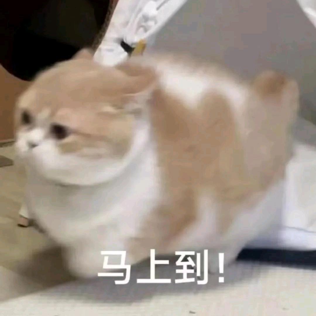 巧克力牛奶