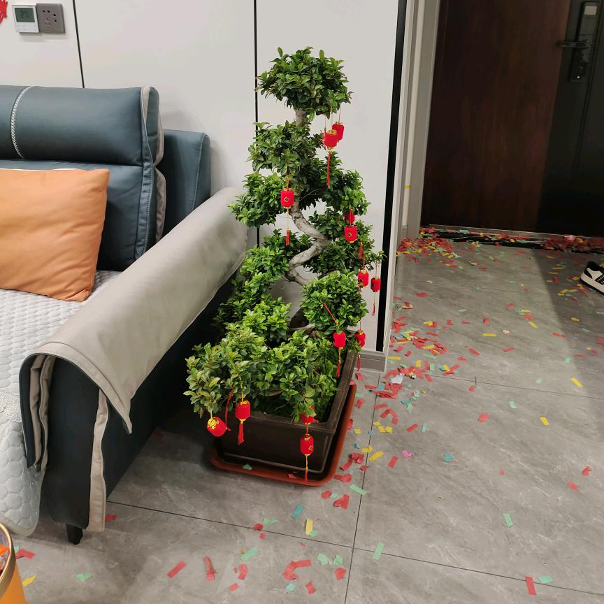 红苹果