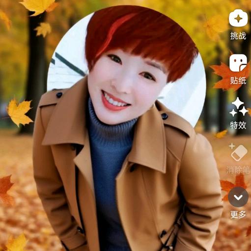 刘951