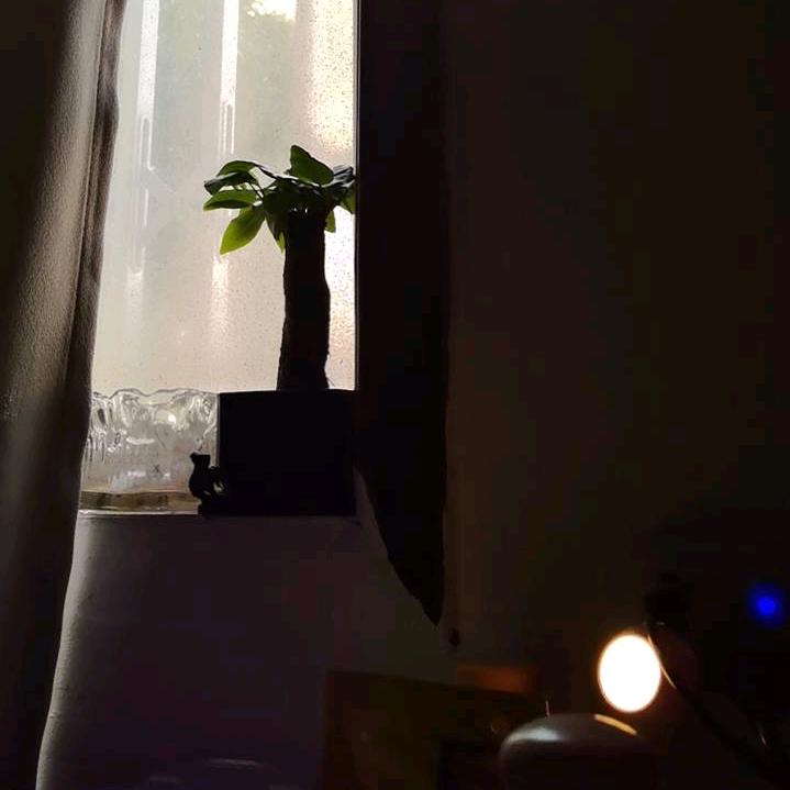 沙漏