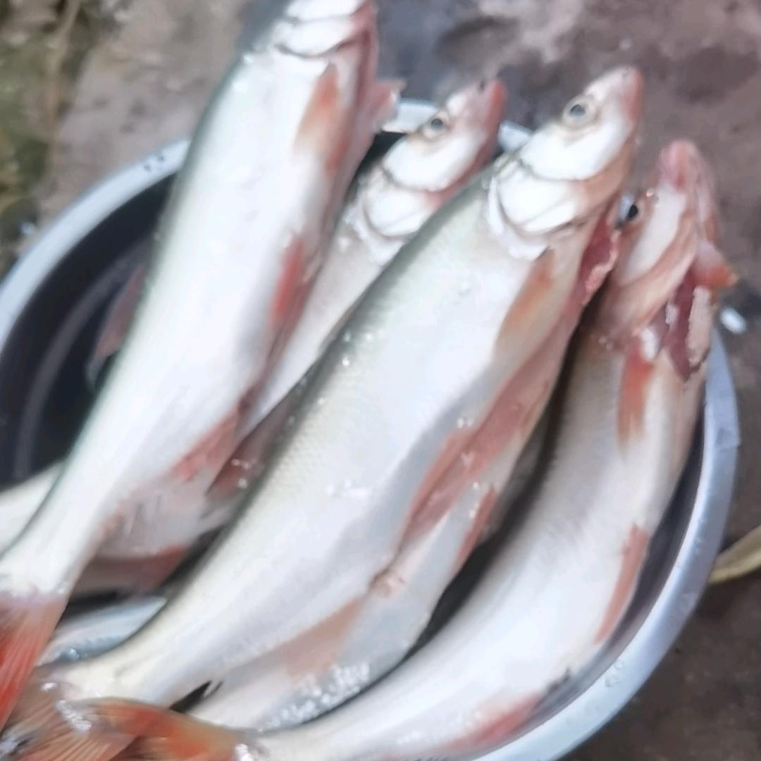 刘相生