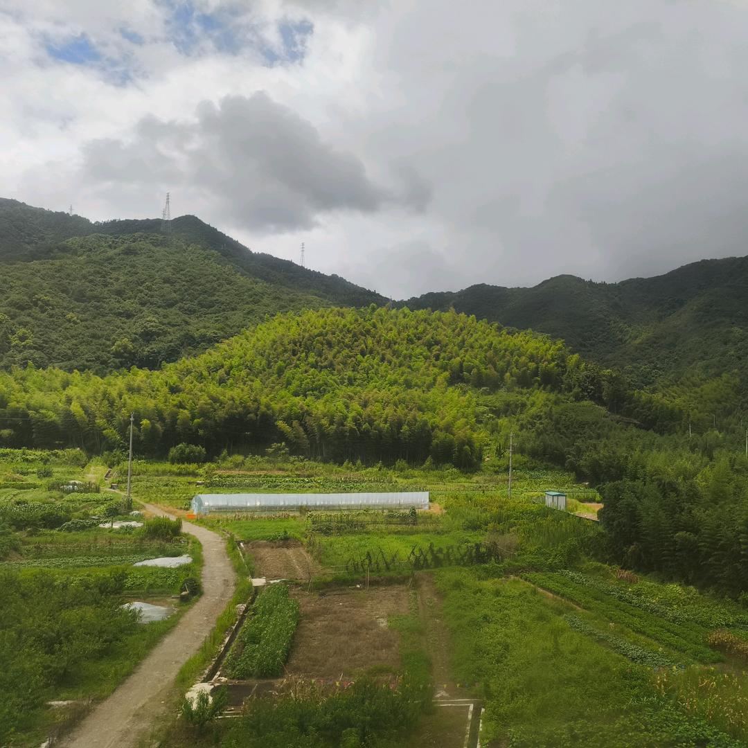 闲窗