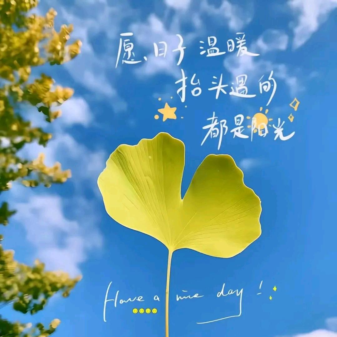 以诺