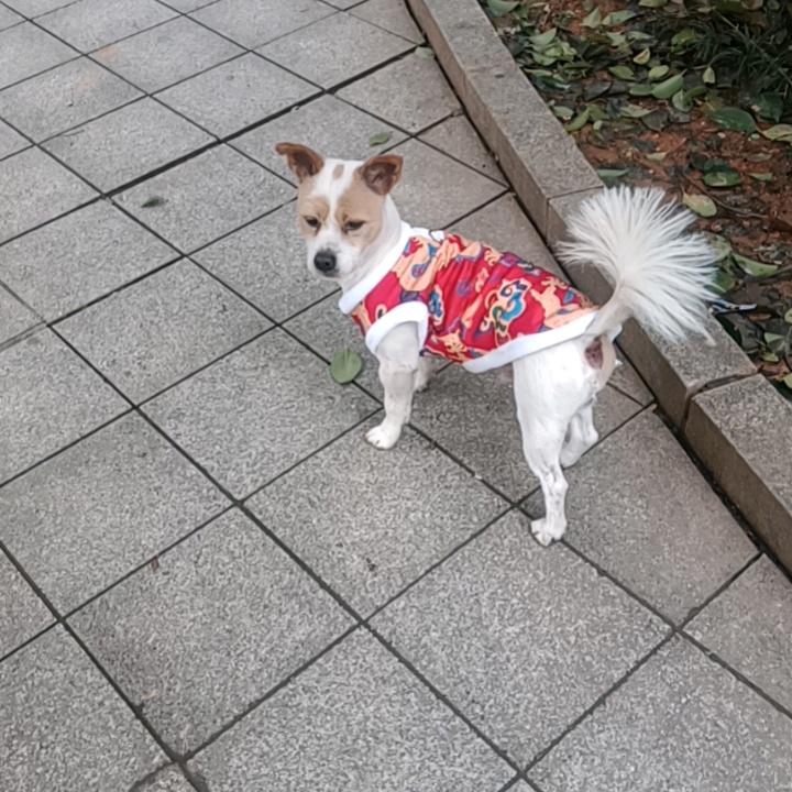 敏儿头像