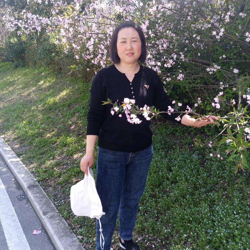 杜