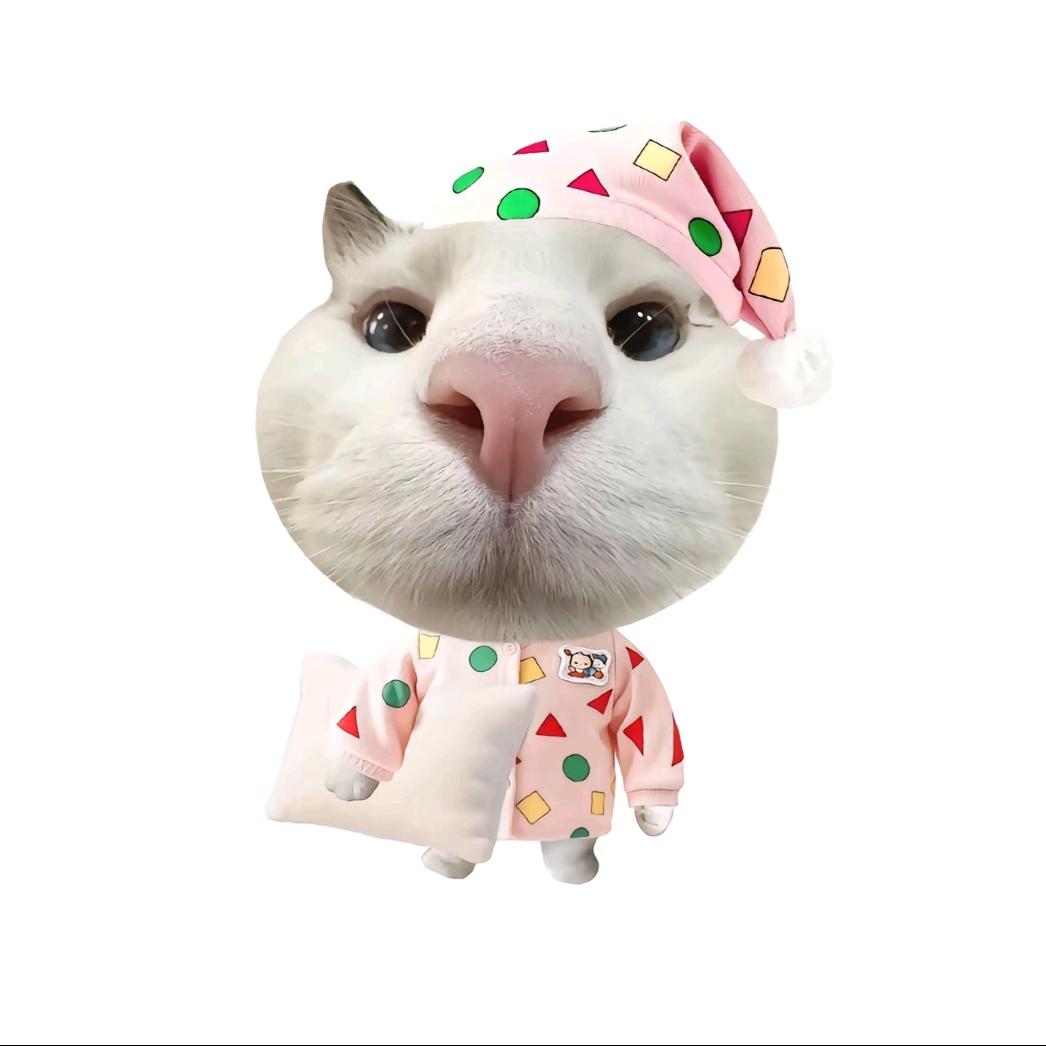 ꉂ᳐˶ᵒ ᵕ ˂˶᳐ฅ