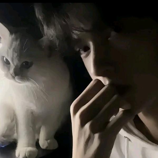 宇&
