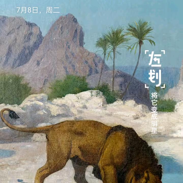 习惯有你