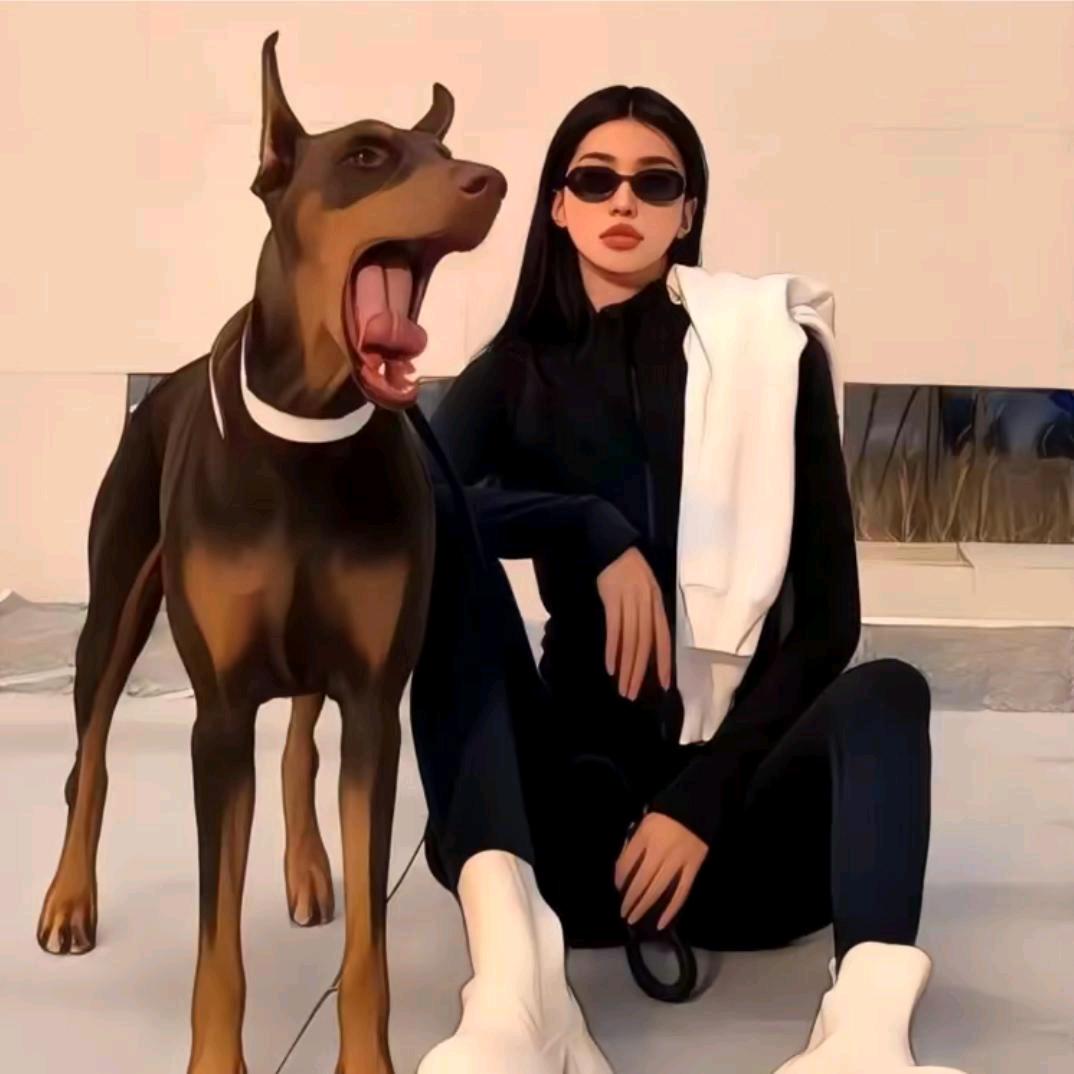 甜瓜大王  🍔