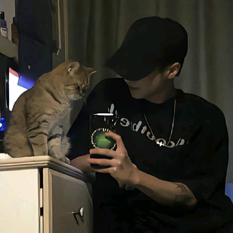 鑫宇（王者荣耀👑16～19号公会赛版）