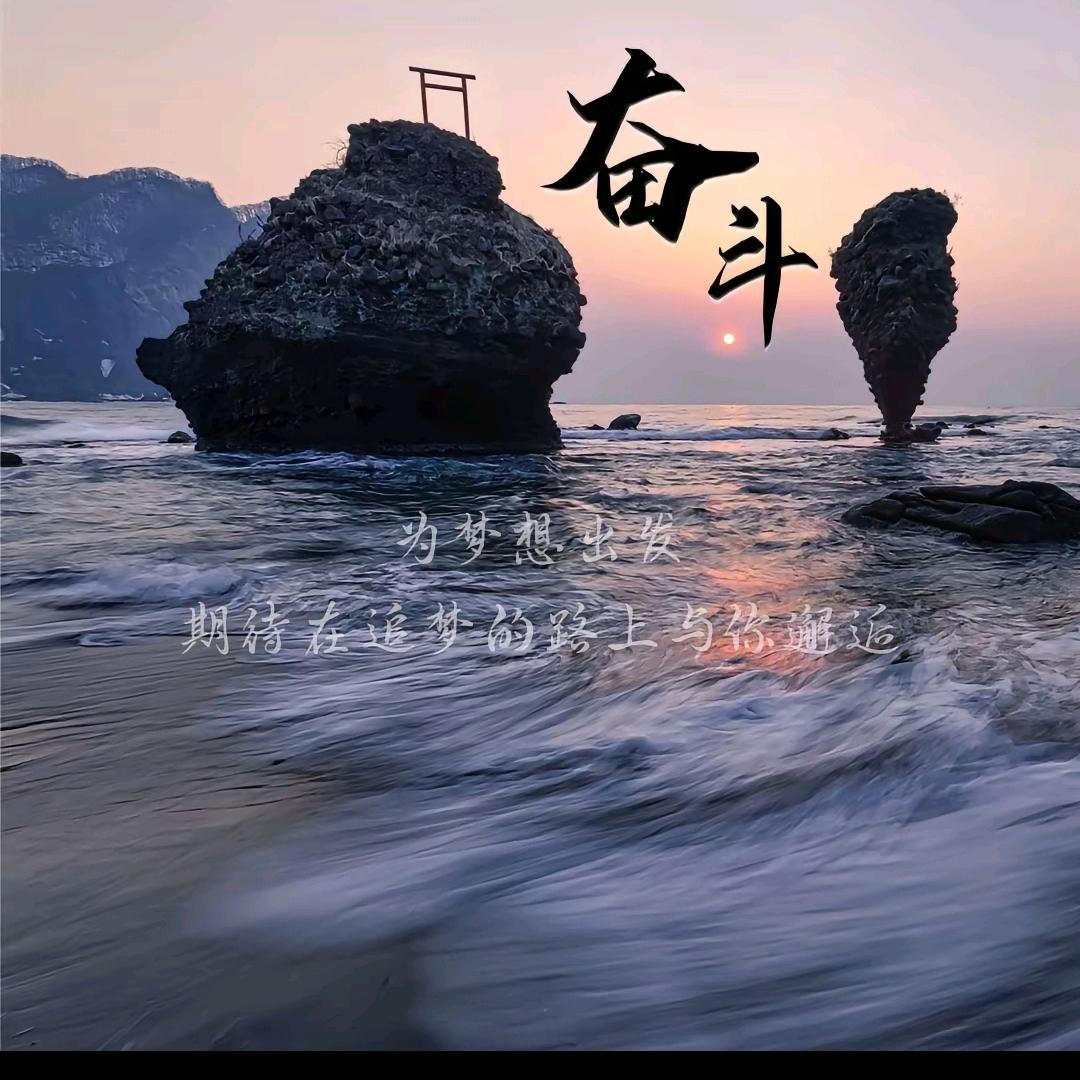 云畔雾隐花