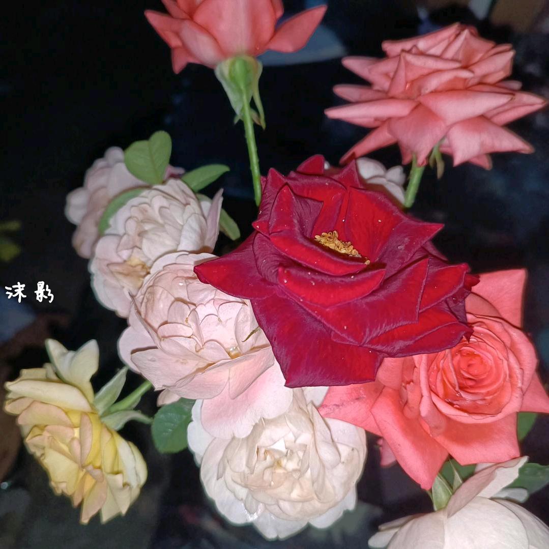 ღ森晴ོ҉ꦿ漫漫࿐