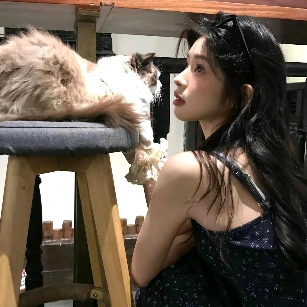 懒猫猫^🐾