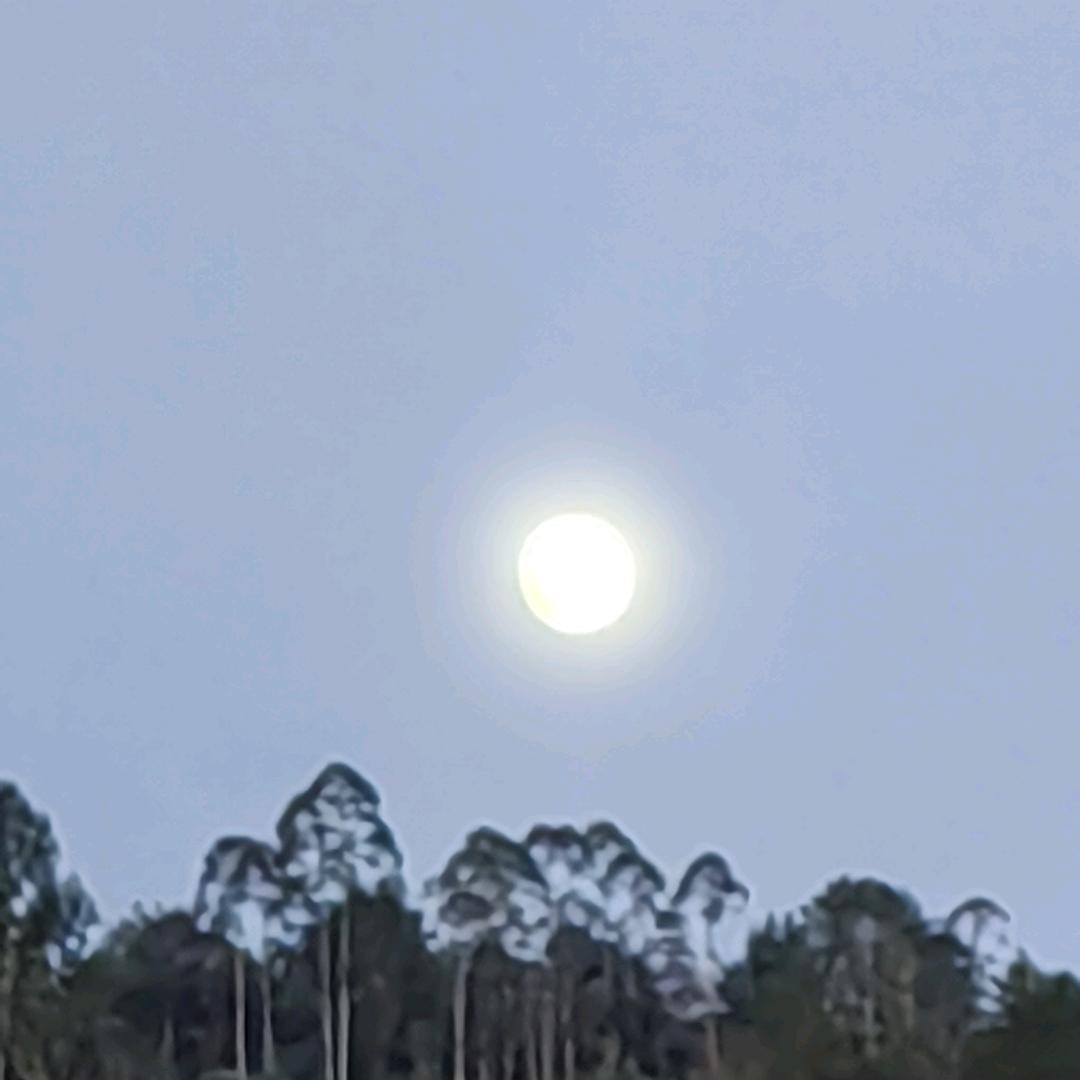 徐小岳